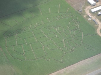 The United States of American in a corn field.