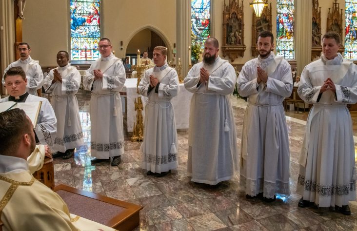 ‘Harvest day’ for the diocese as seven ordained