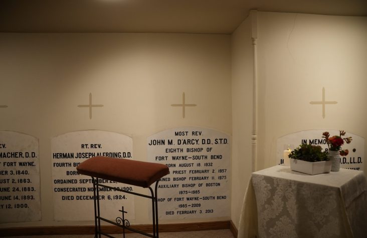 Mass Celebrated in Remembrance of Bishop John D’Arcy on Tenth Anniversary of His Death