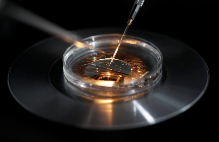 Court: Frozen Embryos Are Children Under Alabama Law